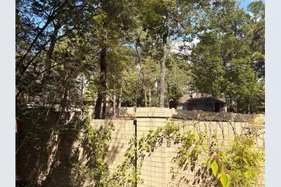 313 Pine Brook Drive, Montgomery, TX 77356 - Photo 29