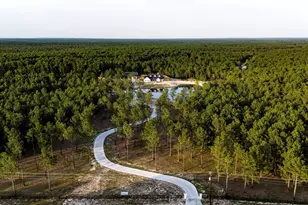 4602 Fm 3459 Rd, Onalaska, TX 77360 - Photo 45