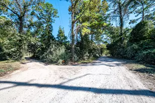 1271 County Rd 443, Dayton, TX 77535 - Photo 39