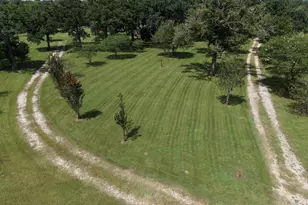 11994 Long Trussel Rd, Bryan, TX 77808 - Photo 5