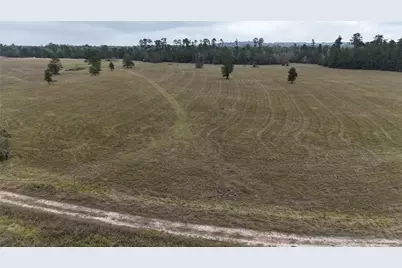 Tbd Tract 2 Percy Howard Road, Huntsville, TX 77320 - Photo 5