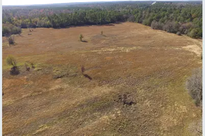 Tbd Tract 2 Percy Howard Road, Huntsville, TX 77320 - Photo 7