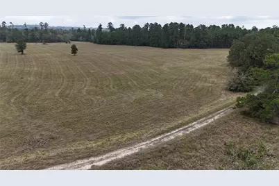Tbd Tract 2 Percy Howard Road, Huntsville, TX 77320 - Photo 3