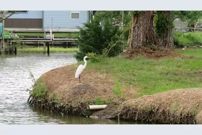 Lot 22 Gnu Street, Onalaska, TX 77360 - Photo 19