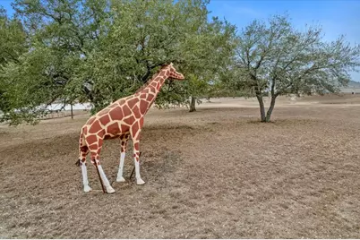 6116 E State Highway 71, La Grange, TX 78945 - Photo 3