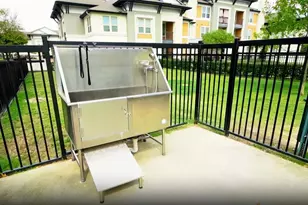 24151 Bella Dolce Ln, Katy, TX 77494 - Photo 7