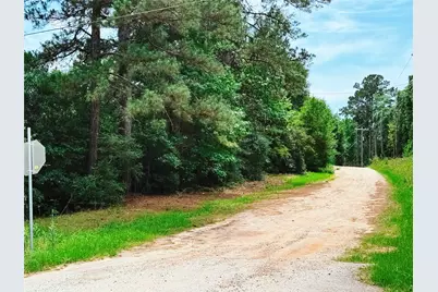 417 Sir Robert Burns Drive, Ivanhoe, TX 75979 - Photo 5