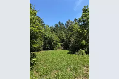 417 Sir Robert Burns Drive, Ivanhoe, TX 75979 - Photo 9