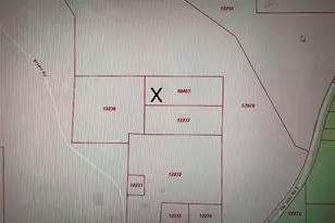 0 FM 2693, New Waverly, TX 77358 - Photo 1