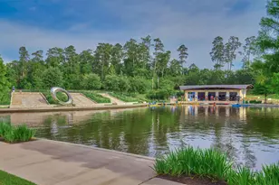 19 Craggy Rock St, The Woodlands, TX 77381 - Photo 45