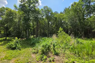 195 Co Rd 4675, Fred, TX 77616 - Photo 19