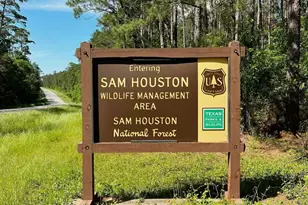 15689 Aspen Dr Dr, Montgomery, TX 77356 - Photo 9