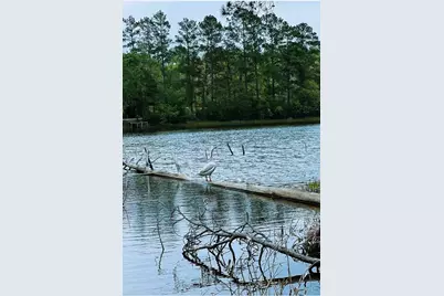 15689 Aspen Dr Drive, Montgomery, TX 77356 - Photo 3