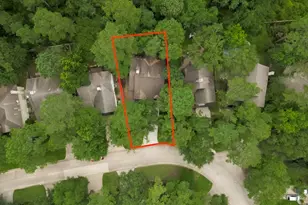 51 E Autumn Branch Cir, The Woodlands, TX 77382 - Photo 49