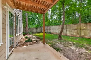 51 E Autumn Branch Cir, The Woodlands, TX 77382 - Photo 47