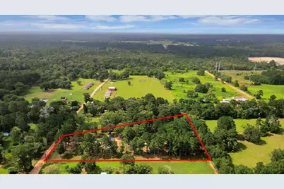 12964 Kowis Lane, Plantersville, TX 77363 - Photo 21