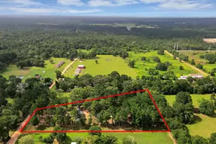 12964 Kowis Ln, Plantersville, TX 77363 - Photo 21