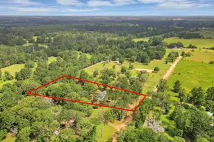 12964 Kowis Ln, Plantersville, TX 77363 - Photo 3