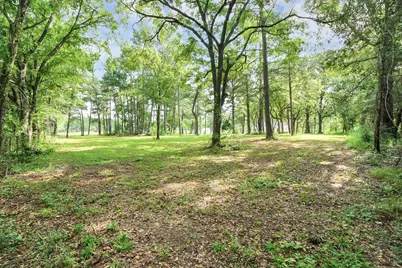 12964 Kowis Lane, Plantersville, TX 77363 - Photo 19