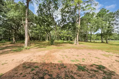 12964 Kowis Lane, Plantersville, TX 77363 - Photo 17