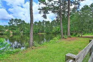 28054 Chuckwagon Trail, Magnolia, TX 77355 - Photo 41