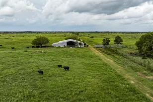 Tbd Rice Rd, Cat Spring, TX 78933 - Photo 11