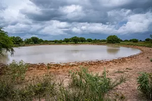 Tbd Rice Rd, Cat Spring, TX 78933 - Photo 13