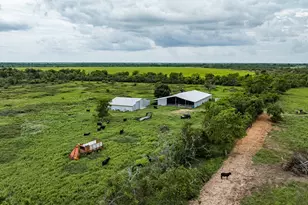 Tbd Rice Rd, Cat Spring, TX 78933 - Photo 7