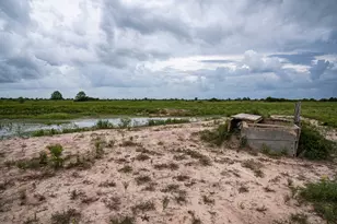 Tbd Rice Rd, Cat Spring, TX 78933 - Photo 21