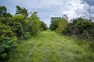 Tbd Rice Rd, Cat Spring, TX 78933 - Photo 19