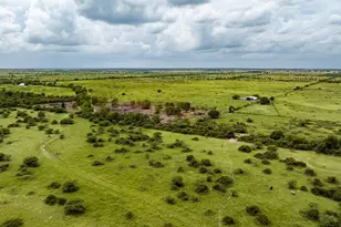 Tbd Rice Rd, Cat Spring, TX 78933 - Photo 33