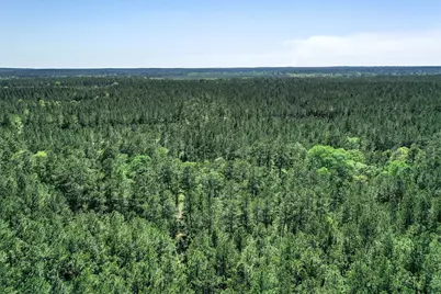 Tbd Queen Anne Way, Huntsville, TX 77340 - Photo 11