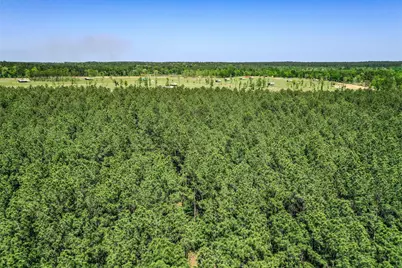 Tbd Queen Anne Way, Huntsville, TX 77340 - Photo 13