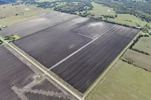 1010 County Road 23, Damon, TX 77430 - Photo 1