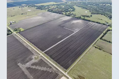 1010 County Road 23, Damon, TX 77430 - Photo 9