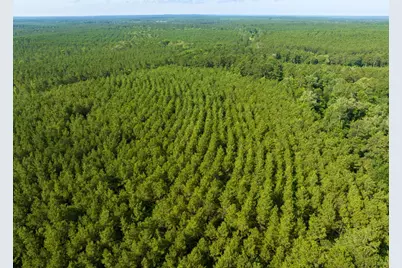 1 S Caney Road, Groveton, TX 75845 - Photo 23