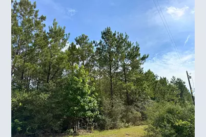 1 S Caney Road, Groveton, TX 75845 - Photo 21