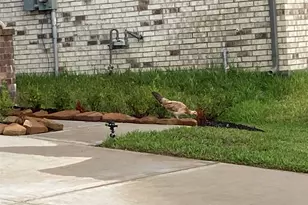 22826 Ephesus Ave, Tomball, TX 77377 - Photo 19