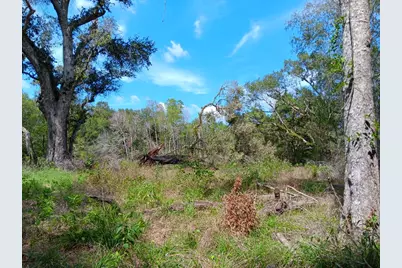 8301 Brazos River Road, Damon, TX 77430 - Photo 5
