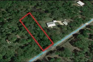 8301 Brazos River Rd, Damon, TX 77430 - Photo 1