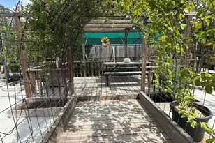 14510 Eaglefern Ln, Houston, TX 77068 - Photo 29