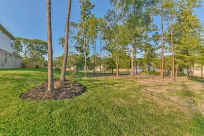 102 Whelan Lane, New Waverly, TX 77358 - Photo 47