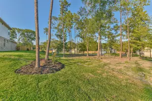 102 Whelan Ln, New Waverly, TX 77358 - Photo 47