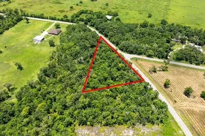 Lot 1 County Road 819, Brazoria, TX 77422 - Photo 5