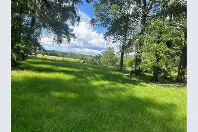 164 Parker Road, Corrigan, TX 75939 - Photo 31