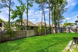 415 N Hillary Step Pl, Montgomery, TX 77316 - Photo 39