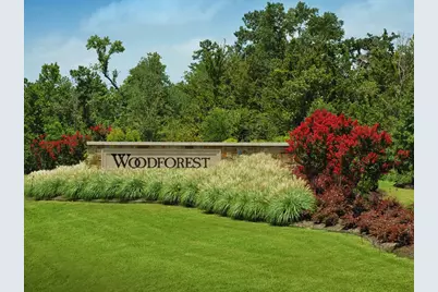 117 Cypress Pond Place, Montgomery, TX 77316 - Photo 21