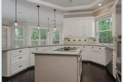 14 Graceful Elm Court, The Woodlands, TX 77381 - Photo 13