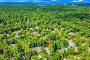 103 E Lakeridge Dr, The Woodlands, TX 77381 - Photo 49