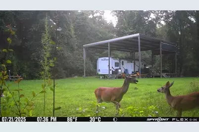 Ooo Fm 1013, Spurger, TX 77660 - Photo 7